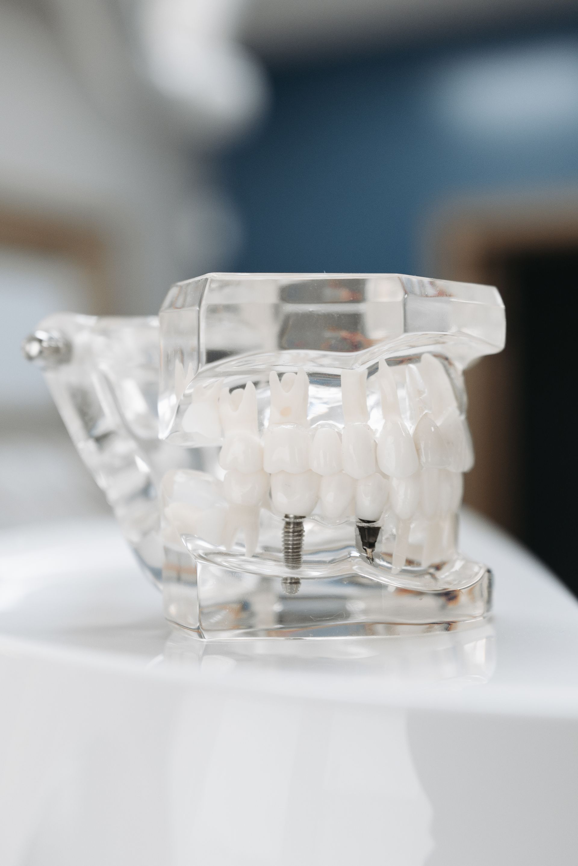 Modelo dentário utilizado em procedimentos clínicos